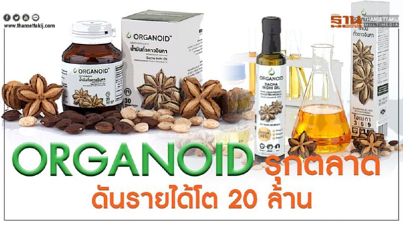 ORGANOID รุกตลาดดันรายได้โต20ล้าน ORGANOID รุกตลาดดันรายได้โต20ล้าน