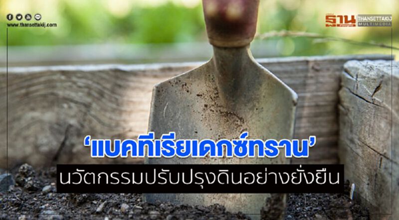 ‘แบคทีเรียเดกซ์ทราน’ นวัตกรรมปรับปรุงดินอย่างยั่งยืน ‘แบคทีเรียเดกซ์ทราน’ นวัตกรรมปรับปรุงดินอย่างยั่งยืน