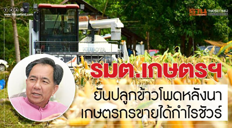 รมต.เกษตรฯ ยันปลูกข้าวโพดหลังนา เกษตรกรขายได้กำไรชัวร์ รมต.เกษตรฯ ยันปลูกข้าวโพดหลังนา เกษตรกรขายได้กำไรชัวร์