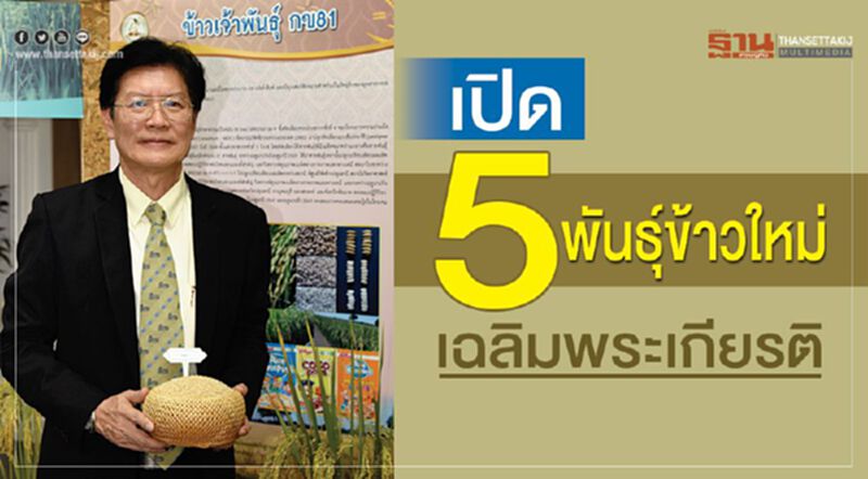 เปิด 5 พันธุ์ข้าวใหม่เฉลิมพระเกียรติ เปิด 5 พันธุ์ข้าวใหม่เฉลิมพระเกียรติ