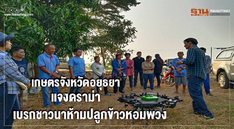 เกษตรจังหวัดอยุธยา "แจงดราม่า" เบรกชาวนาห้ามปลูกข้าวหอมพวง เกษตรจังหวัดอยุธยา "แจงดราม่า" เบรกชาวนาห้ามปลูกข้าวหอมพวง