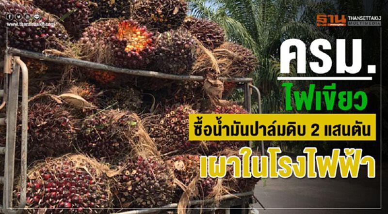 ครม.ไฟเขียว ซื้อน้ำมันปาล์มดิบ 2 แสนตัน เผาในโรงไฟฟ้า ครม.ไฟเขียว ซื้อน้ำมันปาล์มดิบ 2 แสนตัน เผาในโรงไฟฟ้า