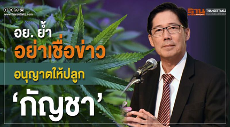 อย. ย้ำอย่าเชื่อข่าวอนุญาตให้ปลูก 'กัญชา' อย. ย้ำอย่าเชื่อข่าวอนุญาตให้ปลูก 'กัญชา'