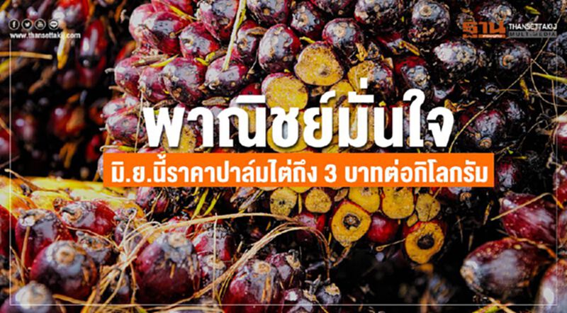 พาณิชย์มั่นใจมิ.ย.นี้ราคาปาล์มไต่ถึง3บาทต่อกิโลกรัม พาณิชย์มั่นใจมิ.ย.นี้ราคาปาล์มไต่ถึง3บาทต่อกิโลกรัม