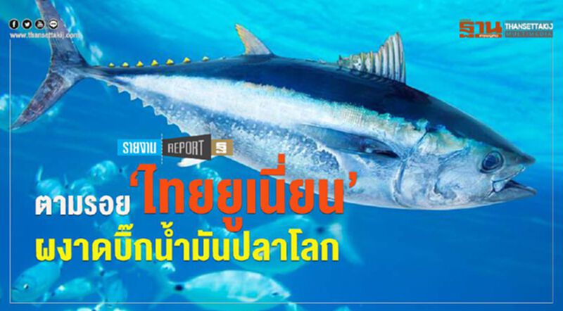 ตามรอย ‘ไทยยูเนี่ยน’ ผงาดบิ๊กน้ำมันปลาโลก ตามรอย ‘ไทยยูเนี่ยน’ ผงาดบิ๊กน้ำมันปลาโลก
