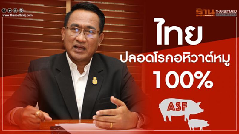 ไทยปลอดโรคอหิวาต์หมู 100% ไทยปลอดโรคอหิวาต์หมู 100%