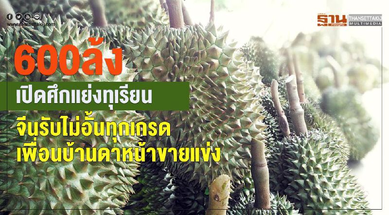 600 ล้งเปิดศึกแย่งทุเรียน  จีนรับไม่อั้นทุกเกรด-เพื่อนบ้านดาหน้าขายแข่ง