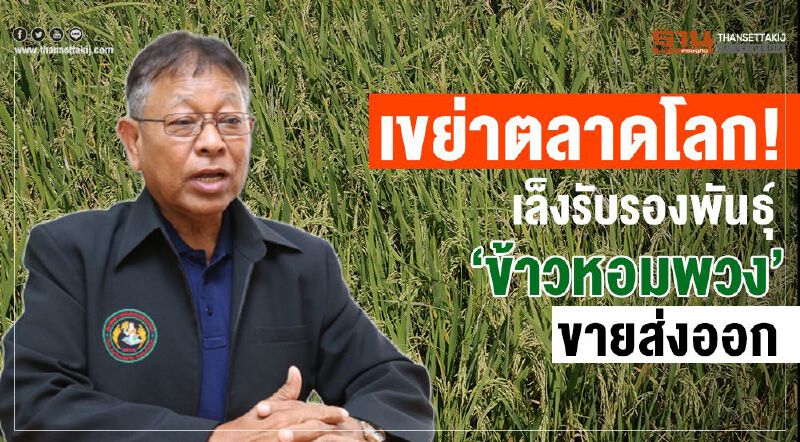 เขย่าตลาดโลก! เล็งรับรองพันธุ์ “ข้าวหอมพวง”ขายส่งออก เขย่าตลาดโลก! เล็งรับรองพันธุ์ “ข้าวหอมพวง”ขายส่งออก