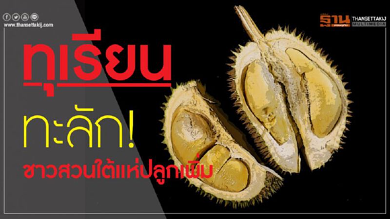 ทุเรียนทะลัก! ชาวสวนใต้แห่ปลูกเพิ่ม ทุเรียนทะลัก! ชาวสวนใต้แห่ปลูกเพิ่ม