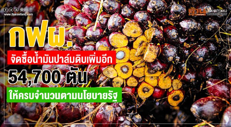 กฟผ. จัดซื้อน้ำมันปาล์มดิบเพิ่มอีก 54,700 ตัน ให้ครบจำนวนตามนโยบายรัฐ กฟผ. จัดซื้อน้ำมันปาล์มดิบเพิ่มอีก 54,700 ตัน ให้ครบจำนวนตามนโยบายรัฐ