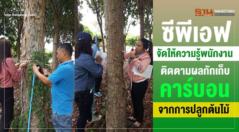 ซีพีเอฟจัดให้ความรู้พนักงานติดตามผลกักเก็บคาร์บอนจากการปลูกต้นไม้ ซีพีเอฟจัดให้ความรู้พนักงานติดตามผลกักเก็บคาร์บอนจากการปลูกต้นไม้