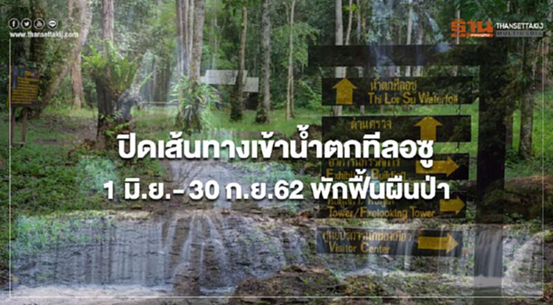 ปิดเส้นทางเข้าน้ำตกทีลอซู 1 มิ.ย.- 30 ก.ย.62 พักฟื้นผืนป่า ปิดเส้นทางเข้าน้ำตกทีลอซู 1 มิ.ย.- 30 ก.ย.62 พักฟื้นผืนป่า