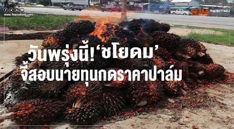 วันพรุ่งนี้! ‘ชโยดม’จี้สอบนายทุนกดราคาปาล์ม วันพรุ่งนี้! ‘ชโยดม’จี้สอบนายทุนกดราคาปาล์ม