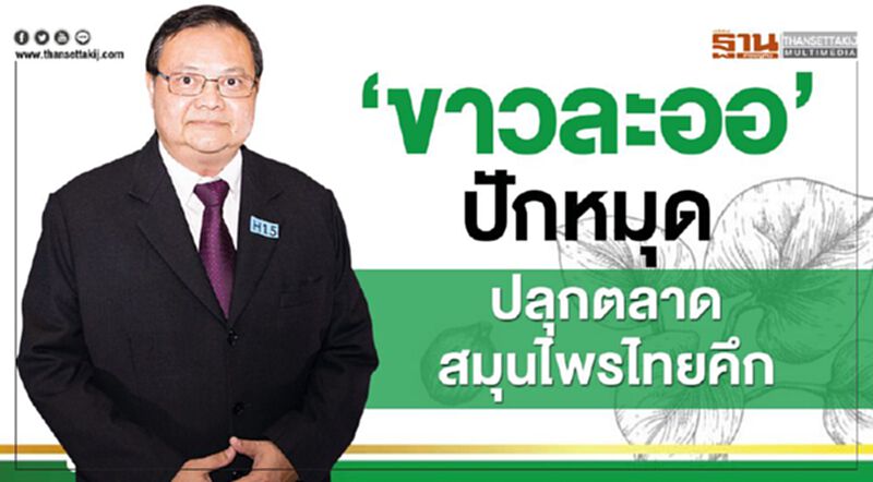 ‘ขาวละออ’ปักหมุดปลุกตลาดสมุนไพรไทยคึก ‘ขาวละออ’ปักหมุดปลุกตลาดสมุนไพรไทยคึก