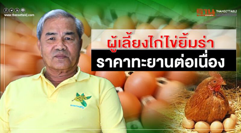 ผู้เลี้ยงไก่ไข่ยิ้มร่าหลังราคาทะยานต่อเนื่อง ผู้เลี้ยงไก่ไข่ยิ้มร่าหลังราคาทะยานต่อเนื่อง
