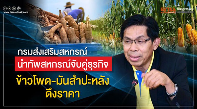 กรมส่งเสริมสหกรณ์นำทัพสหกรณ์จับคู่ธุรกิจข้าวโพด-มันสำปะหลังดึงราคา กรมส่งเสริมสหกรณ์นำทัพสหกรณ์จับคู่ธุรกิจข้าวโพด-มันสำปะหลังดึงราคา