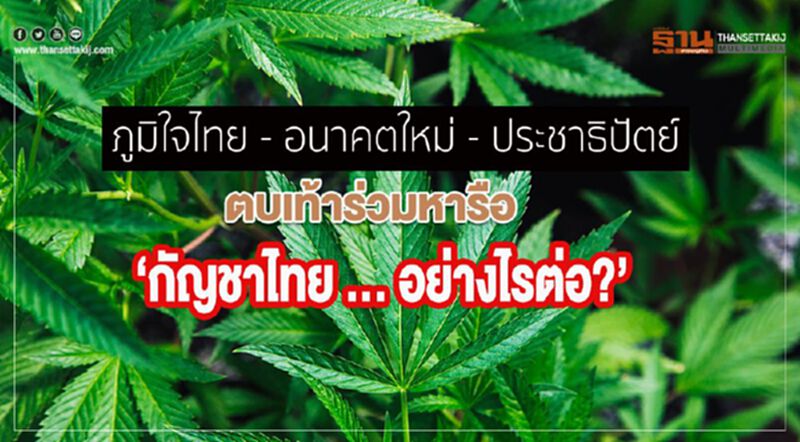 'ภูมิใจไทย - อนาคตใหม่ - ประชาธิปัตย์' ตบเท้าร่วมหารือ ‘กัญชาไทย … อย่างไรต่อ?’ 'ภูมิใจไทย - อนาคตใหม่ - ประชาธิปัตย์' ตบเท้าร่วมหารือ ‘กัญชาไทย … อย่างไรต่อ?’