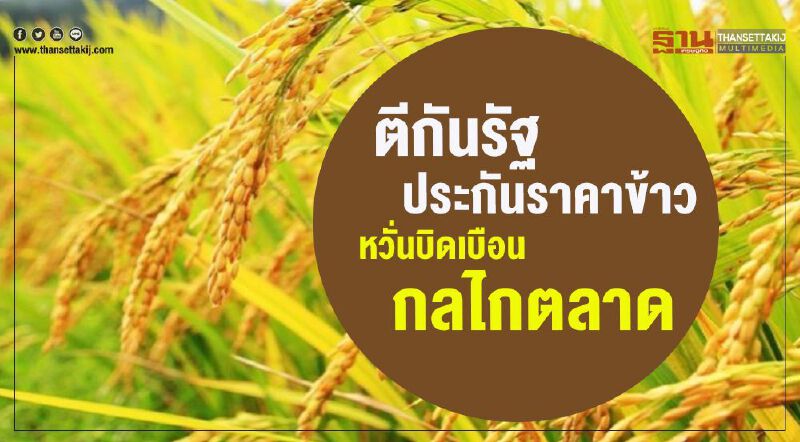 ตีกันรัฐประกันราคาข้าว  หวั่นบิดเบือนกลไกตลาด