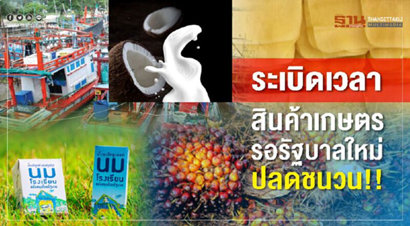 ระเบิดเวลาสินค้าเกษตรรอรัฐบาลใหม่ปลดชนวน!! ระเบิดเวลาสินค้าเกษตรรอรัฐบาลใหม่ปลดชนวน!!