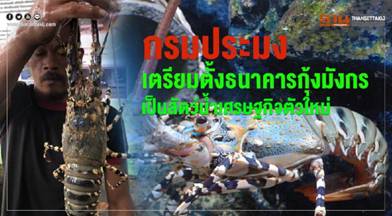 กรมประมงเตรียมตั้งธนาคารกุ้งมังกรดันเป็นสัตว์น้ำเศรษฐกิจตัวใหม่ กรมประมงเตรียมตั้งธนาคารกุ้งมังกรดันเป็นสัตว์น้ำเศรษฐกิจตัวใหม่