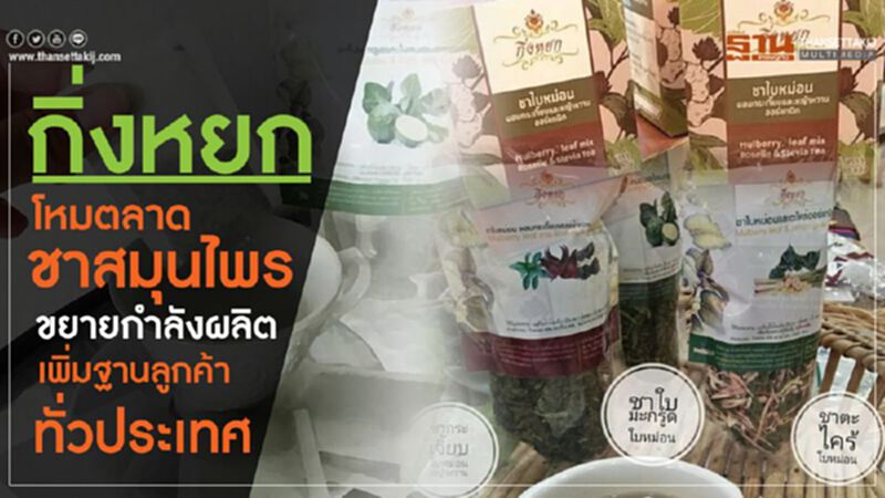 กิ่งหยกโหมตลาดชาสมุนไพรขยายกำลังผลิตเพิ่มฐานลูกค้าทั่วประเทศ กิ่งหยกโหมตลาดชาสมุนไพรขยายกำลังผลิตเพิ่มฐานลูกค้าทั่วประเทศ