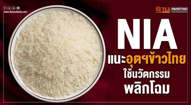 เอ็นไอเอแนะอุตฯข้าวไทยใช้นวัตกรรมพลิกโฉม เอ็นไอเอแนะอุตฯข้าวไทยใช้นวัตกรรมพลิกโฉม