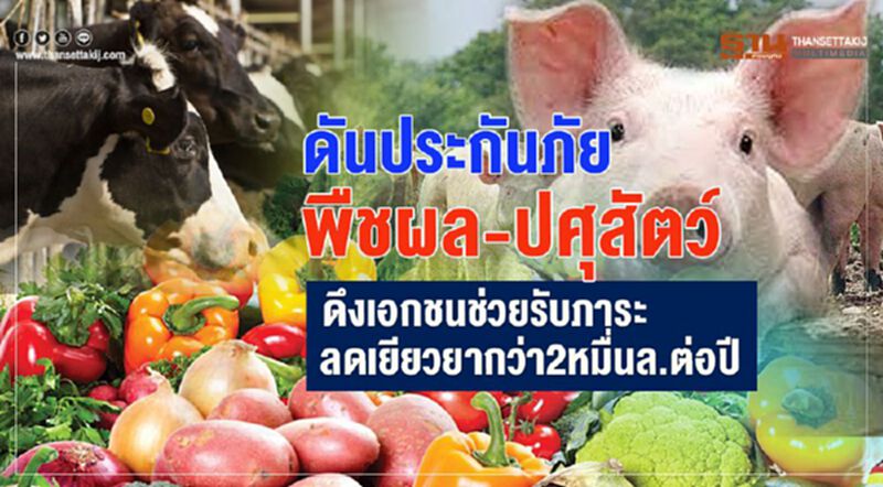 ดันประกันภัยพืชผล-ปศุสัตว์ ดึงเอกชนช่วยรับภาระ-ลดเยียวยากว่า 2 หมื่นล.ต่อปี ดันประกันภัยพืชผล-ปศุสัตว์ ดึงเอกชนช่วยรับภาระ-ลดเยียวยากว่า 2 หมื่นล.ต่อปี