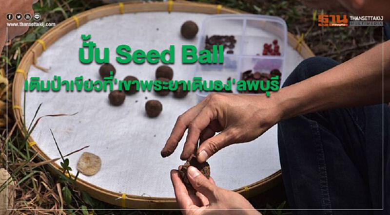 ปั้น Seed Ball เติมป่าเขียวที่'เขาพระยาเดินธง'ลพบุรี ปั้น Seed Ball เติมป่าเขียวที่'เขาพระยาเดินธง'ลพบุรี