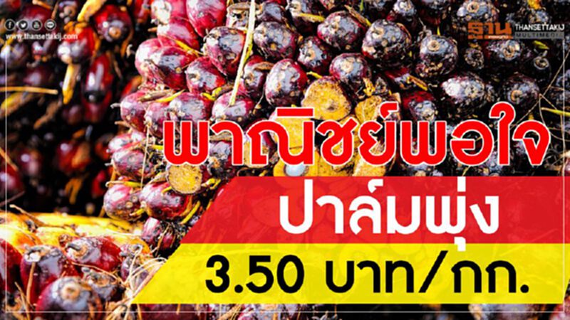 พาณิชย์พอใจปาล์มพุ่ง 3.50 บาท/กก. ขออีก 3 เดือนจัดการลดสต๊อก พาณิชย์พอใจปาล์มพุ่ง 3.50 บาท/กก. ขออีก 3 เดือนจัดการลดสต๊อก