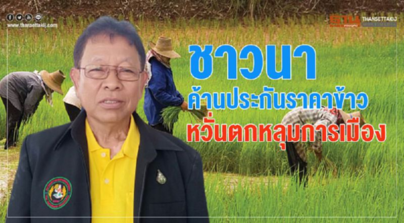 ชาวนาค้านประกันราคาข้าวหวั่นตกหลุมการเมือง ชาวนาค้านประกันราคาข้าวหวั่นตกหลุมการเมือง