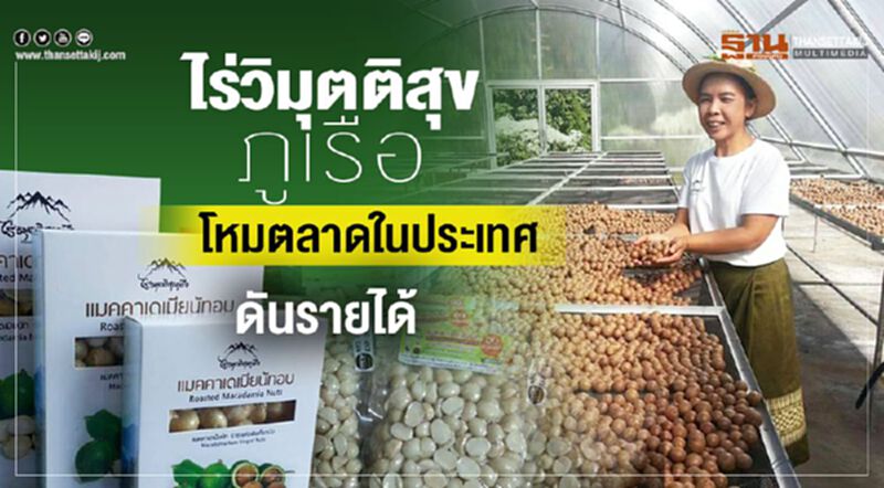 ไร่วิมุตติสุขภูเรือ โหมตลาดในประเทศ ดันรายได้ 1.5 ล้าน ไร่วิมุตติสุขภูเรือ โหมตลาดในประเทศ ดันรายได้ 1.5 ล้าน