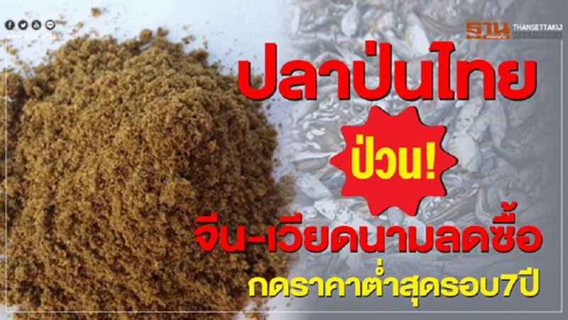 ปลาป่นไทย ป่วน ! จีน-เวียดนามลดซื้อ ทำราคาตํ่าสุดรอบ 7 ปี ปลาป่นไทย ป่วน ! จีน-เวียดนามลดซื้อ ทำราคาตํ่าสุดรอบ 7 ปี