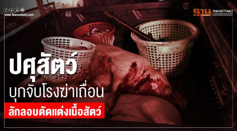 ปศุสัตว์บุกจับโรงฆ่าเถื่อนลักลอบตัดแต่งเนื้อสัตว์ ปศุสัตว์บุกจับโรงฆ่าเถื่อนลักลอบตัดแต่งเนื้อสัตว์