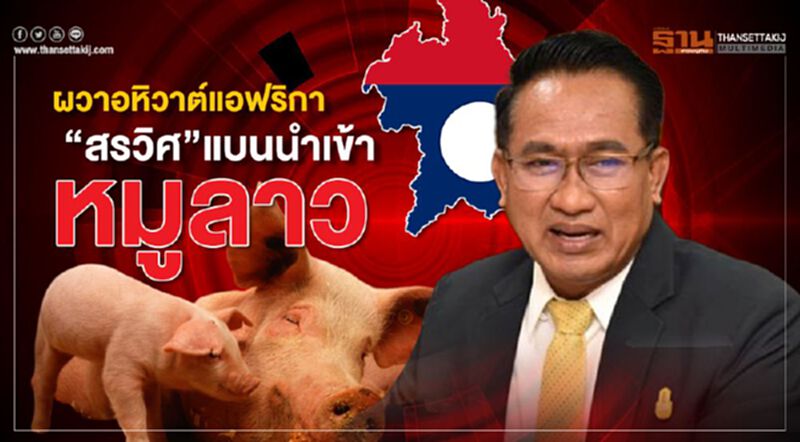 ผวา! อหิวาต์แอฟริกา“สรวิศ”แบนนำเข้าหมูลาว ผวา! อหิวาต์แอฟริกา“สรวิศ”แบนนำเข้าหมูลาว