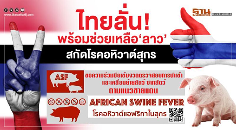 ไทยลั่น! พร้อมช่วยเหลือ ‘ลาว’สกัดโรคอหิวาต์สุกร ไทยลั่น! พร้อมช่วยเหลือ ‘ลาว’สกัดโรคอหิวาต์สุกร