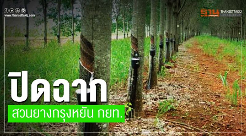 ปิดฉากสวนยางกรุงหยัน กยท. ปิดฉากสวนยางกรุงหยัน กยท.