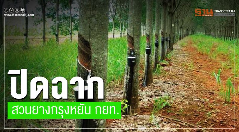 ปิดฉากสวนยางกรุงหยัน กยท.