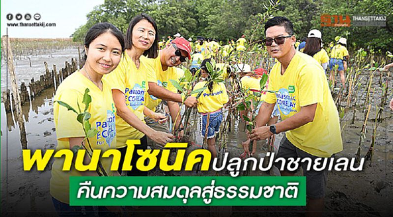 พานาโซนิคปลูกป่าชายเลน คืนความสมดุลสู่ธรรมชาติ พานาโซนิคปลูกป่าชายเลน คืนความสมดุลสู่ธรรมชาติ