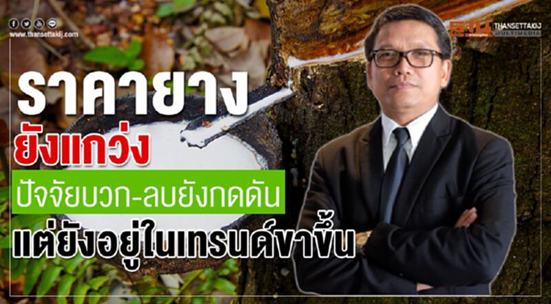 ราคายางยังแกว่งปัจจัยบวก-ลบยังกดดัน แต่ยังอยู่ในเทรนด์ขาขึ้น ราคายางยังแกว่งปัจจัยบวก-ลบยังกดดัน แต่ยังอยู่ในเทรนด์ขาขึ้น