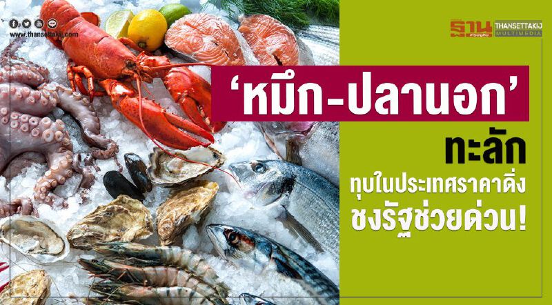 ‘หมึก-ปลานอก’ทะลัก  ทุบในประเทศราคาดิ่ง-ชงรัฐช่วยด่วน!