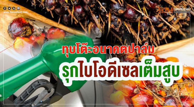 ทุบโต๊ะอนาคตปาล์ม  รุกไบโอดีเซลเต็มสูบ