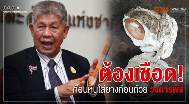 ต้องเชือด! ก้อนหินใส่ยางก้อนถ้วยวงการพัง ต้องเชือด! ก้อนหินใส่ยางก้อนถ้วยวงการพัง