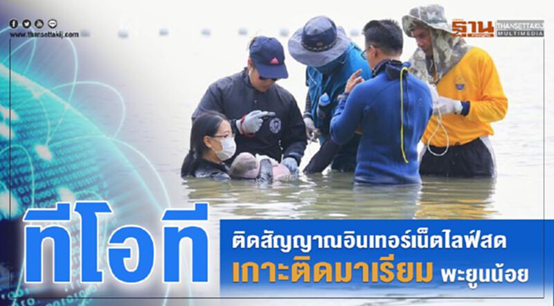 ทีโอที ติดสัญญาณอินเทอร์เน็ตไลฟ์สด มาเรียม พะยูนน้อย ทีโอที ติดสัญญาณอินเทอร์เน็ตไลฟ์สด มาเรียม พะยูนน้อย
