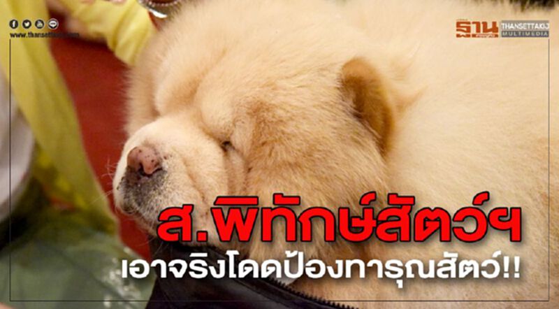 ส.พิทักษ์สัตว์ฯ เอาจริงโดดป้องทารุณสัตว์!! ส.พิทักษ์สัตว์ฯ เอาจริงโดดป้องทารุณสัตว์!!