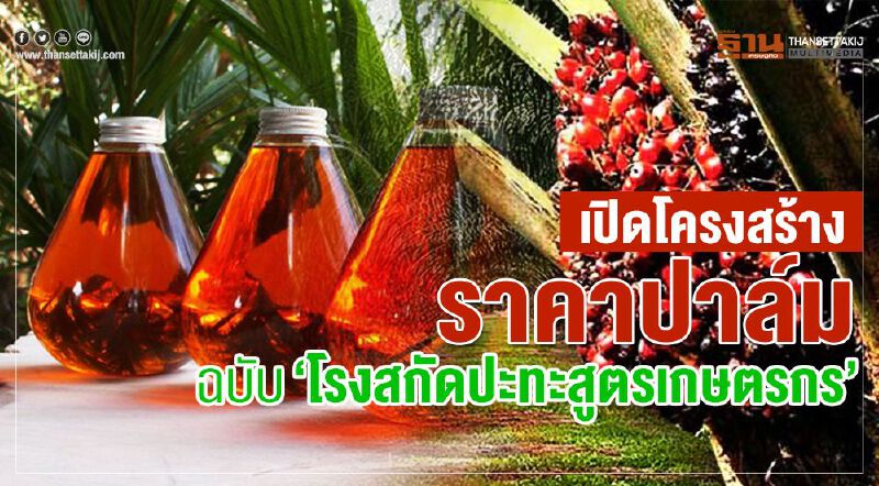 เปิดโครงสร้างราคาปาล์มฉบับ ‘โรงสกัดปะทะสูตรเกษตรกร’