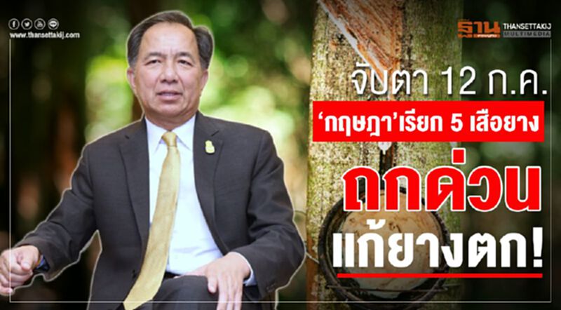 จับตา 12 ก.ค.’กฤษฎา’เรียก 5 เสือยางถกด่วนแก้ยางตก! จับตา 12 ก.ค.’กฤษฎา’เรียก 5 เสือยางถกด่วนแก้ยางตก!