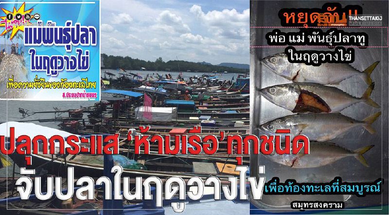 ปลุกกระแส ‘ห้ามเรือทุกชนิด’จับปลาในฤดูวางไข่