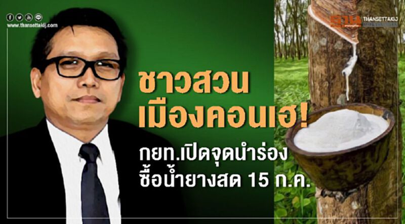 ชาวสวนเมืองคอนเฮ! กยท.เปิดจุดนำร่องซื้อน้ำยางสด 15 ก.ค. ชาวสวนเมืองคอนเฮ! กยท.เปิดจุดนำร่องซื้อน้ำยางสด 15 ก.ค.