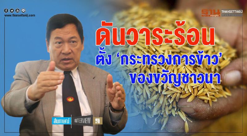ดันวาระร้อน  ตั้ง ‘กระทรวงการข้าว’  ของขวัญชาวนา