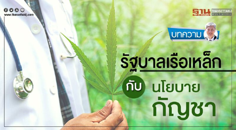 รัฐบาลเรือเหล็ก กับ นโยบายกัญชา รัฐบาลเรือเหล็ก กับ นโยบายกัญชา